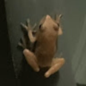 Meet your Posher, Aj